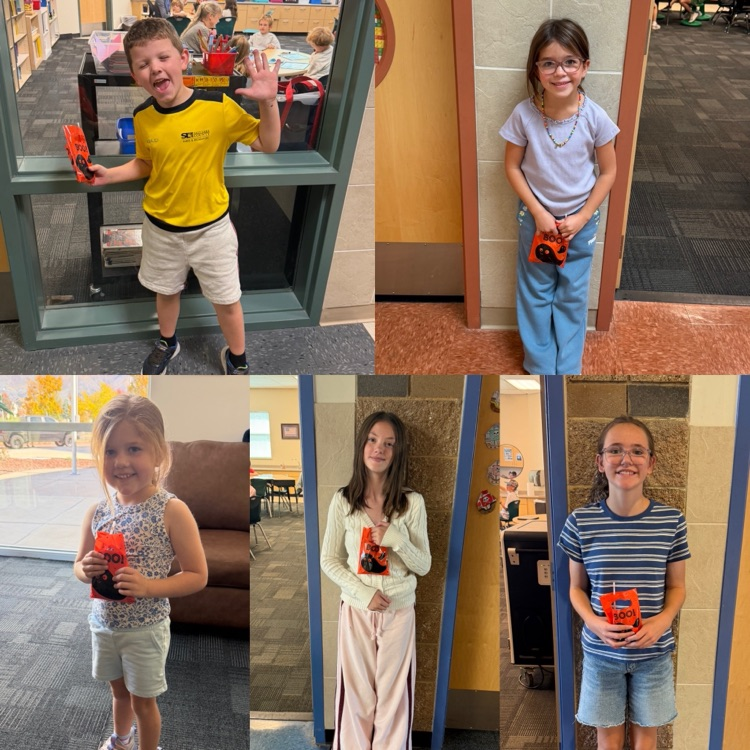 Rocky Reward Winners