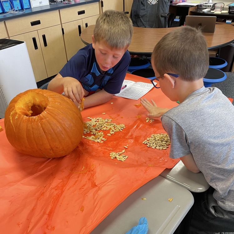 kids carving pumpkins and counting seeds 