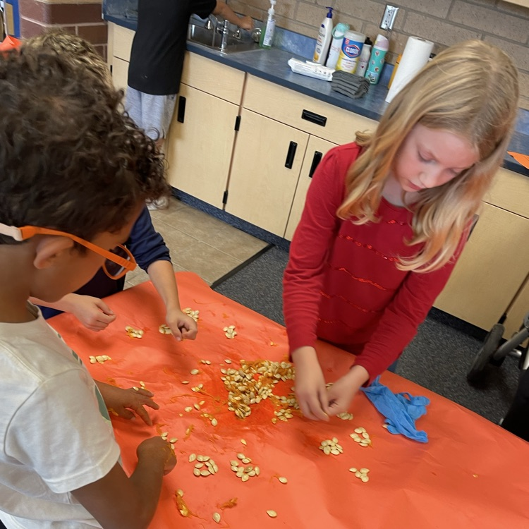 kids carving pumpkins and counting seeds 