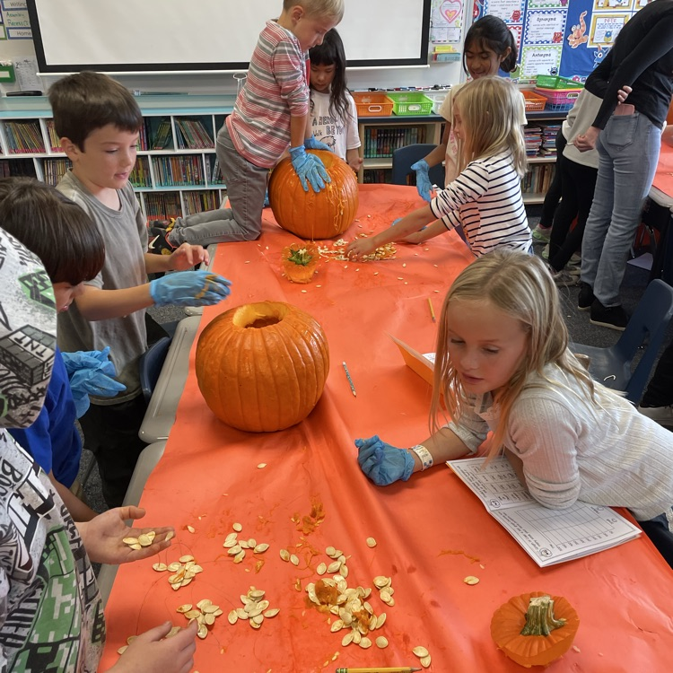 kids carving pumpkins and counting seeds 