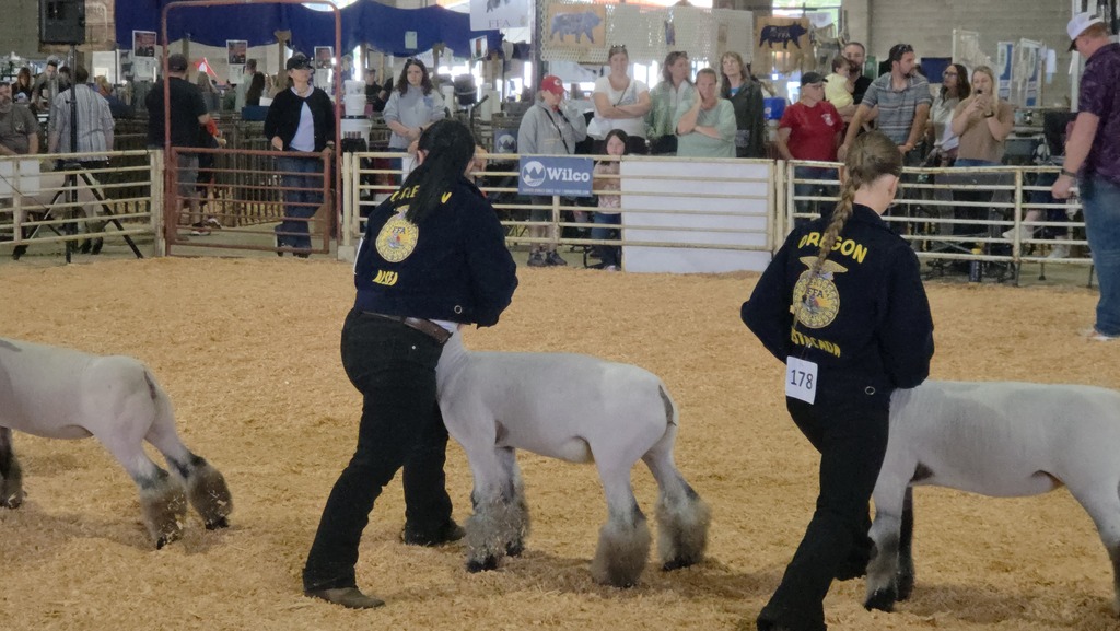FFA state fair 