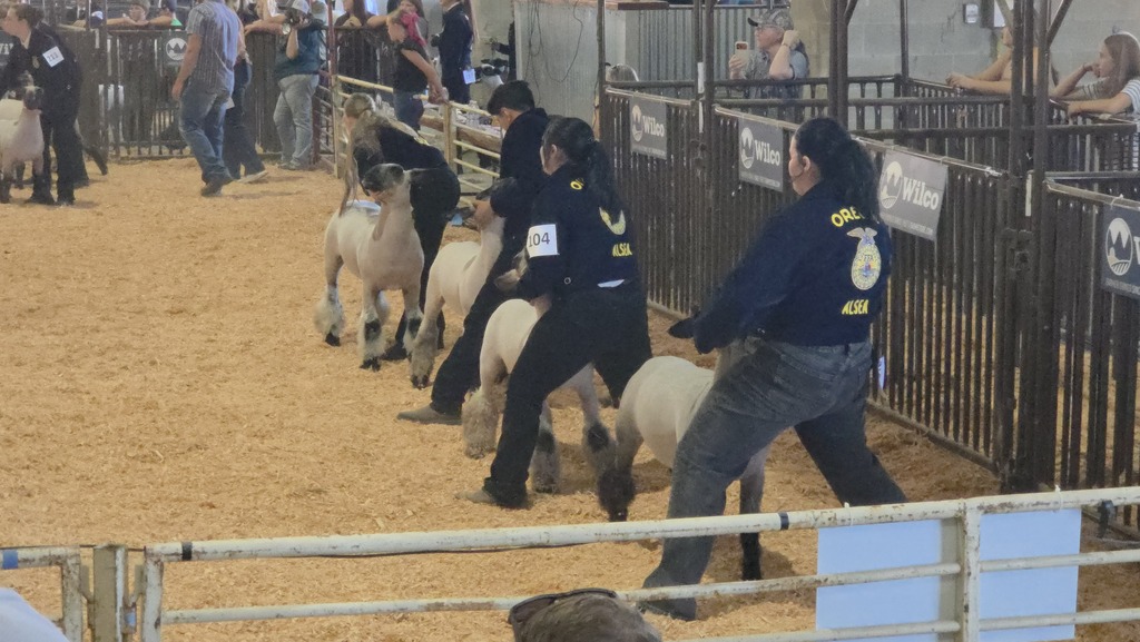 ffa
