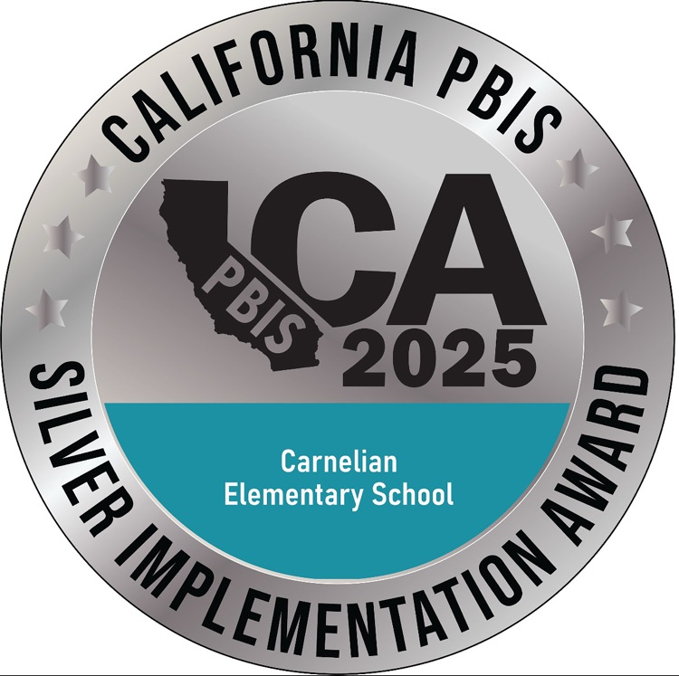 PBIS Silver