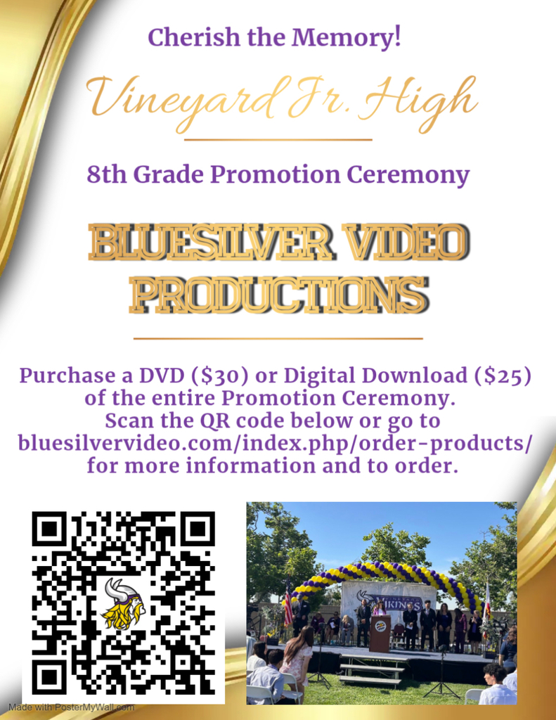 Bluesilver Video Flyer