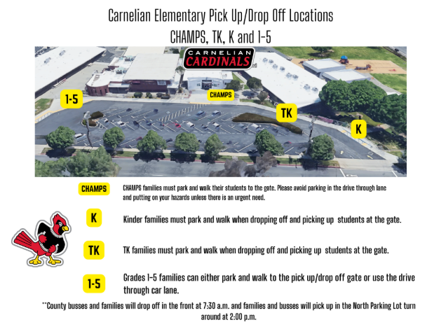 Parking Lot Procedures