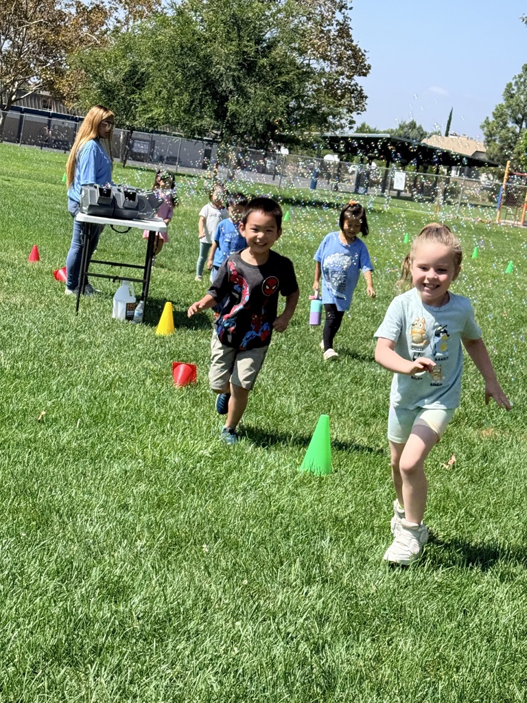 bubble run