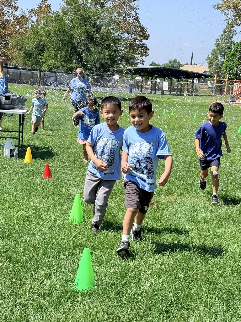 bubble run