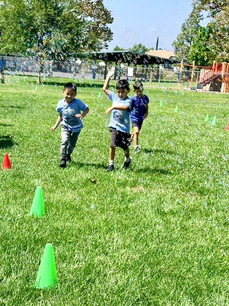 bubble run