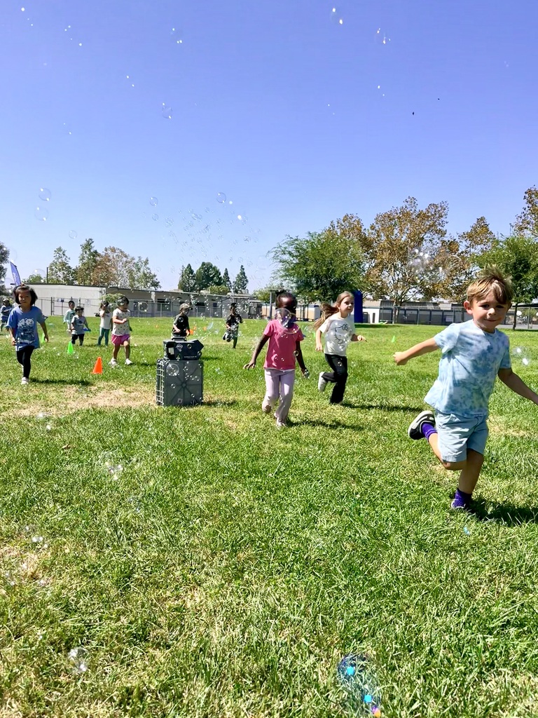 bubble run