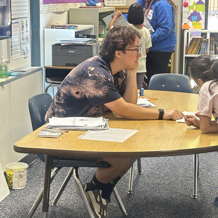 instructional aide