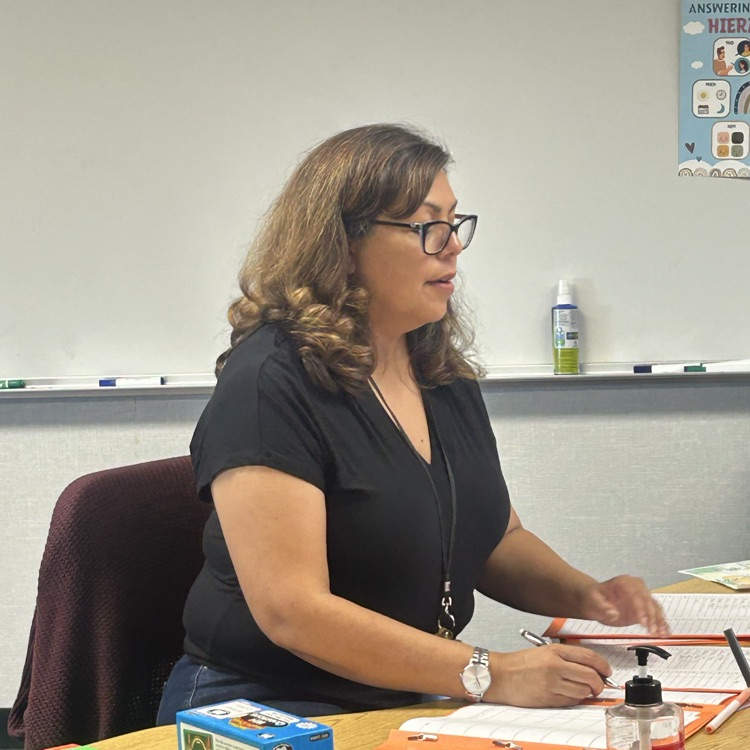 A teacher teaching a lesson