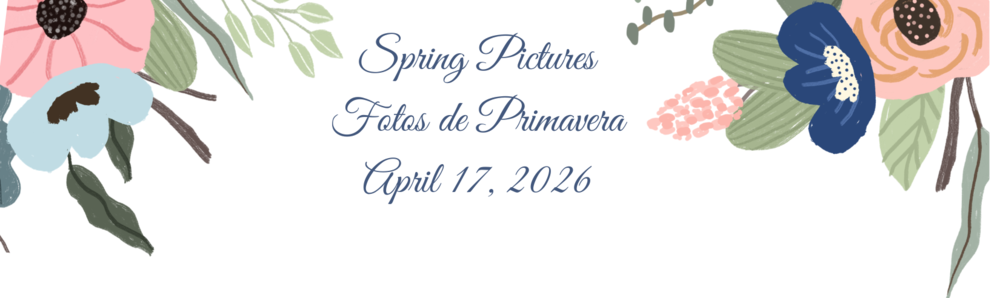 Spring Pictures/Fotos de Primavera