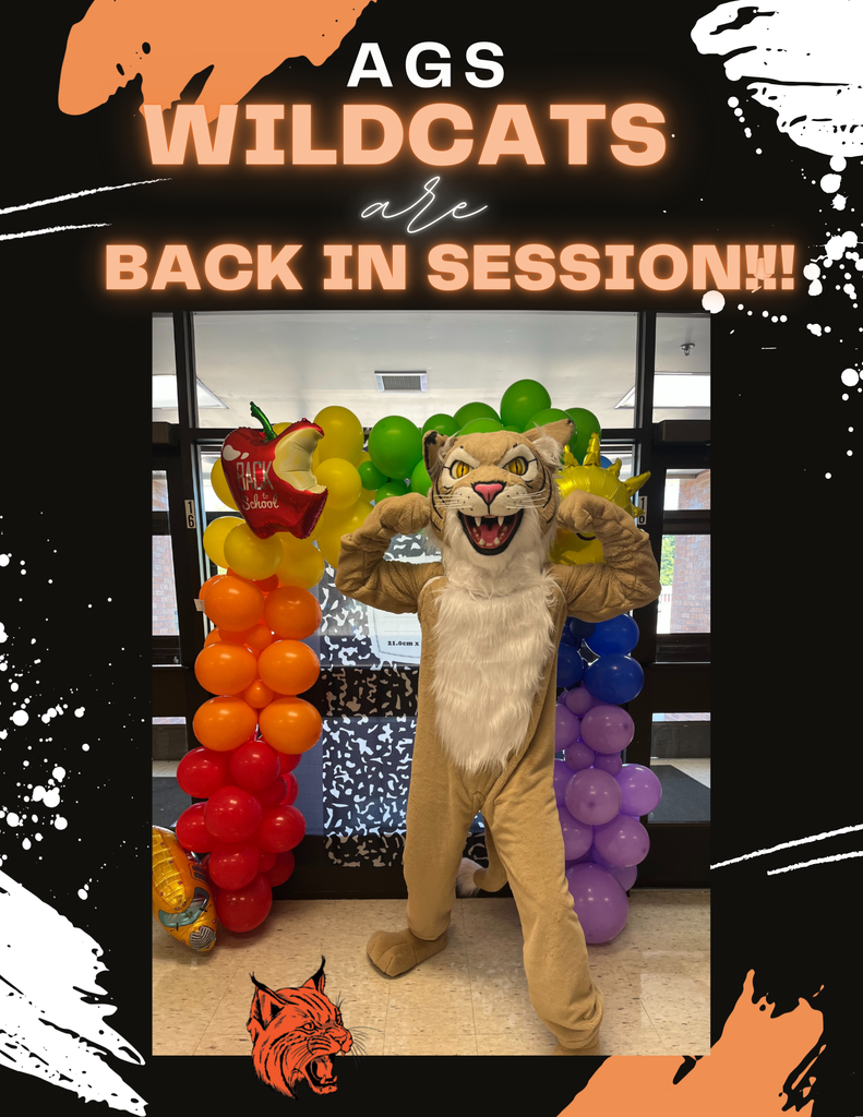 Wildcats in Session 