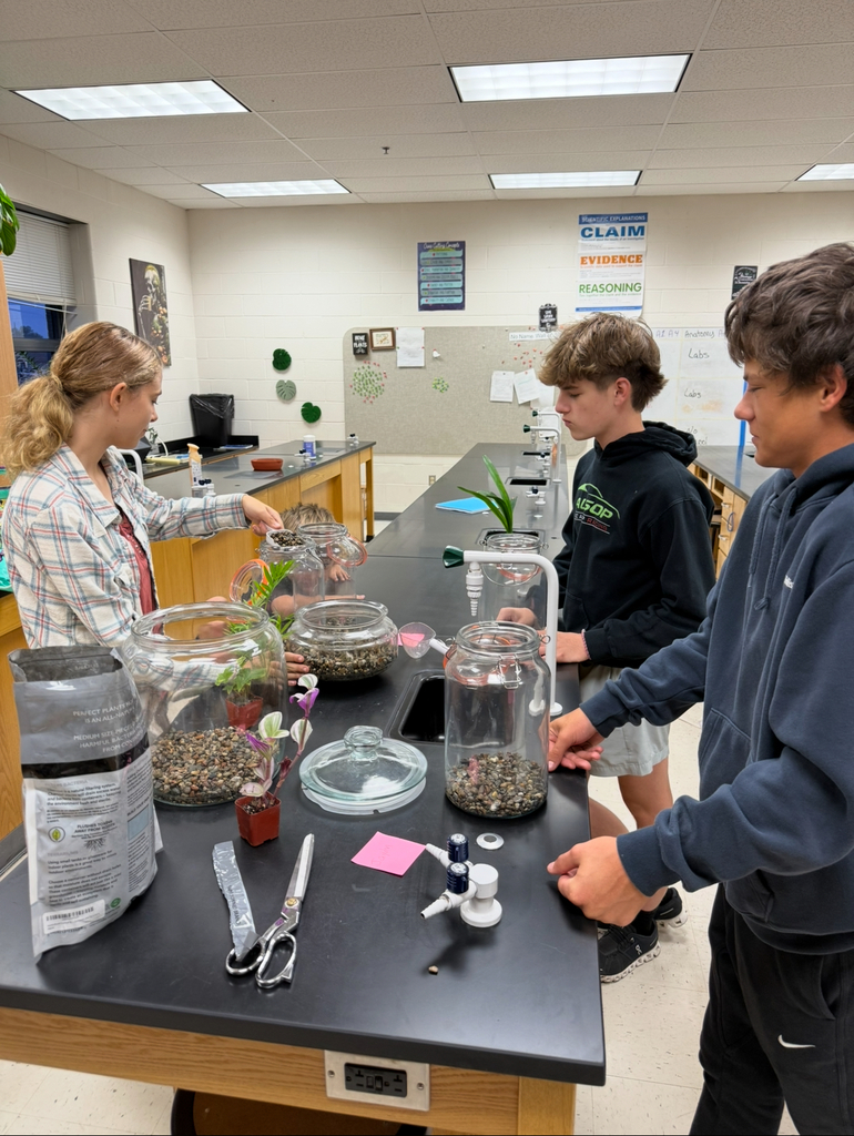 Students working on Terrariums