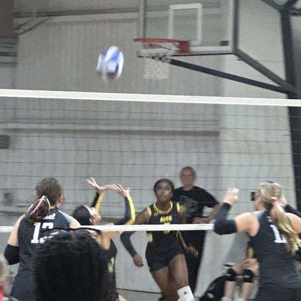 volleyball team