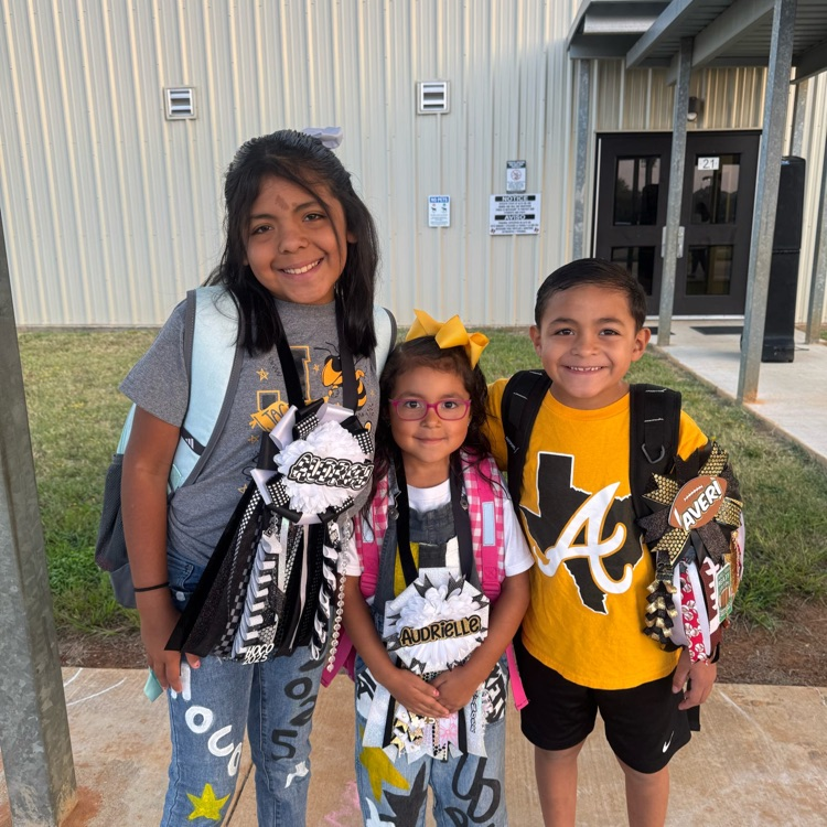 elem HoCo