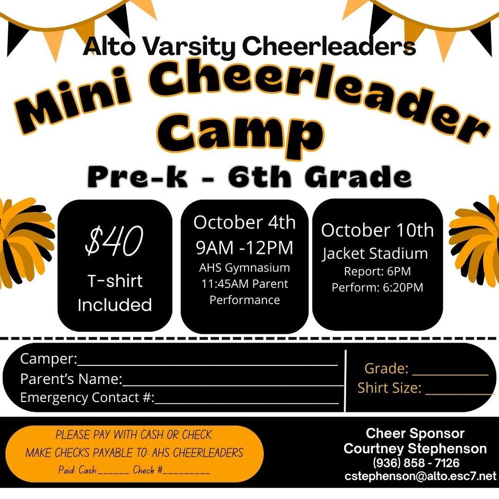 Mini cheer c amp