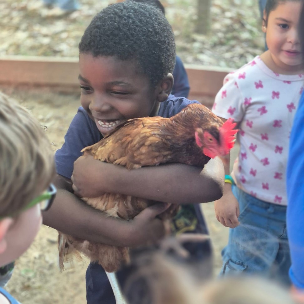 boy hugging chicken 
