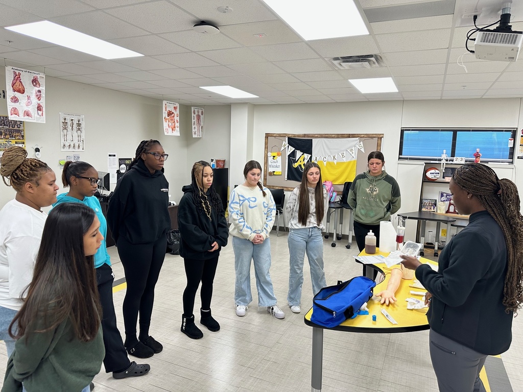 Health Science students practicing IVs