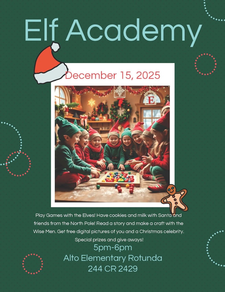 Elf Academy