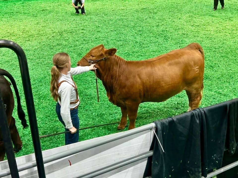 Makenzie with heifer