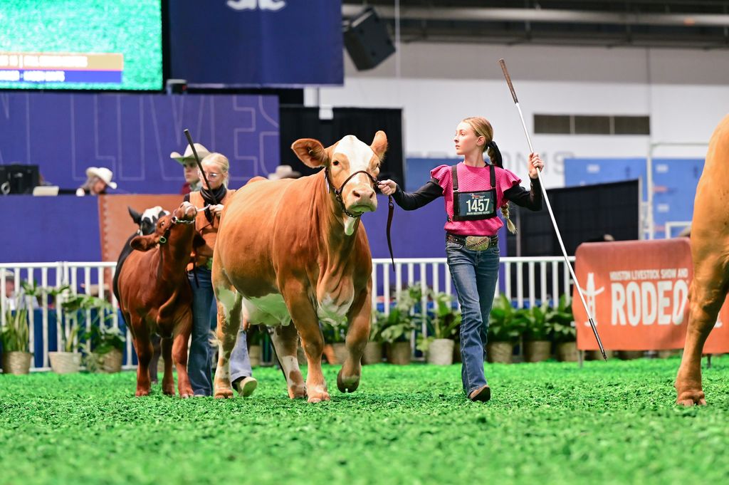 Alice and Macee with heifers