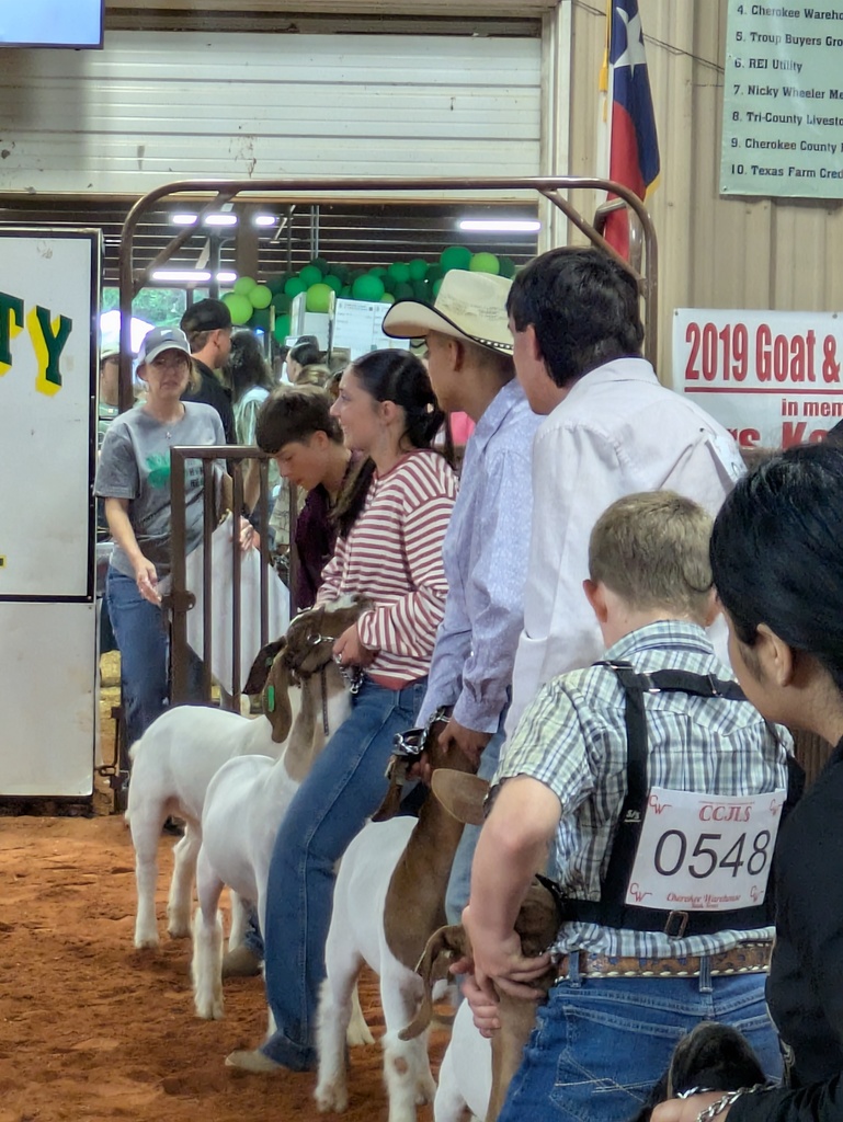 goat show 