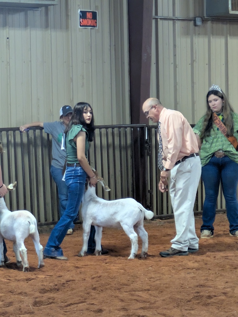 goat show