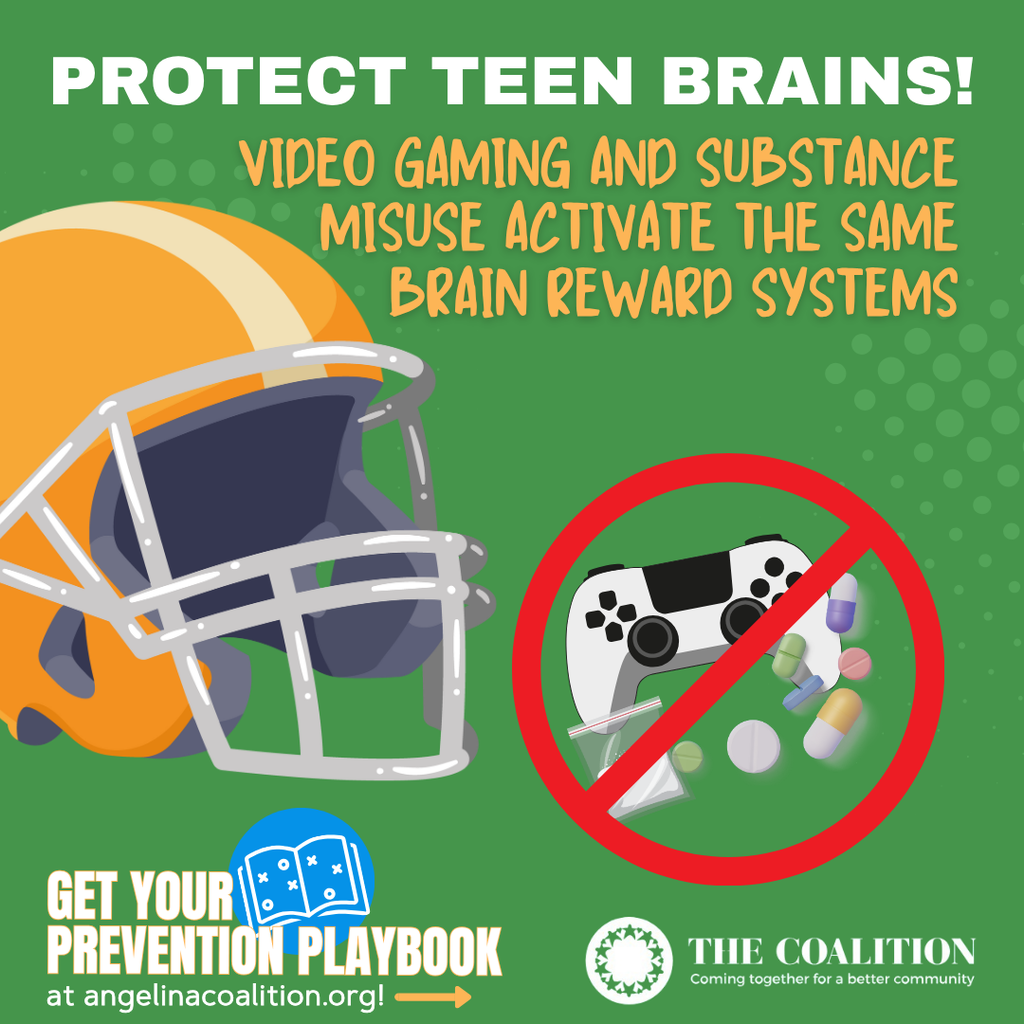 Video gaming and substance misuse activate the same brain reward systems