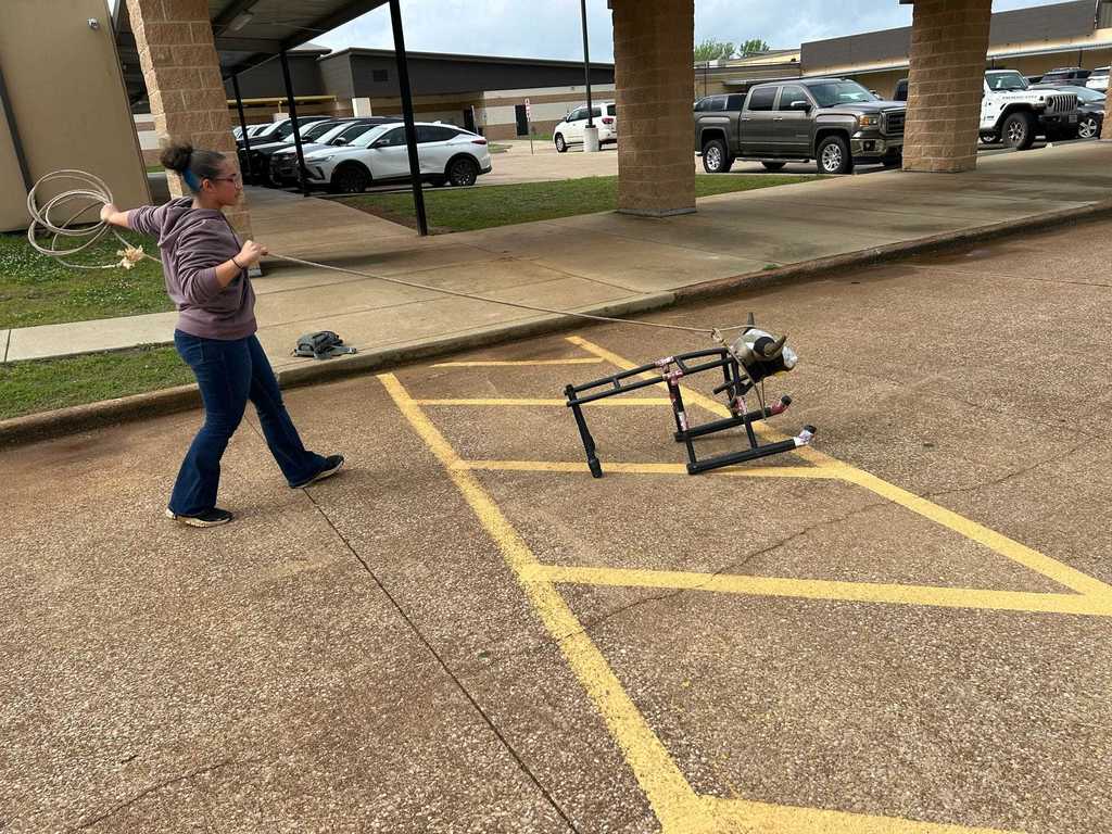 Roping practice