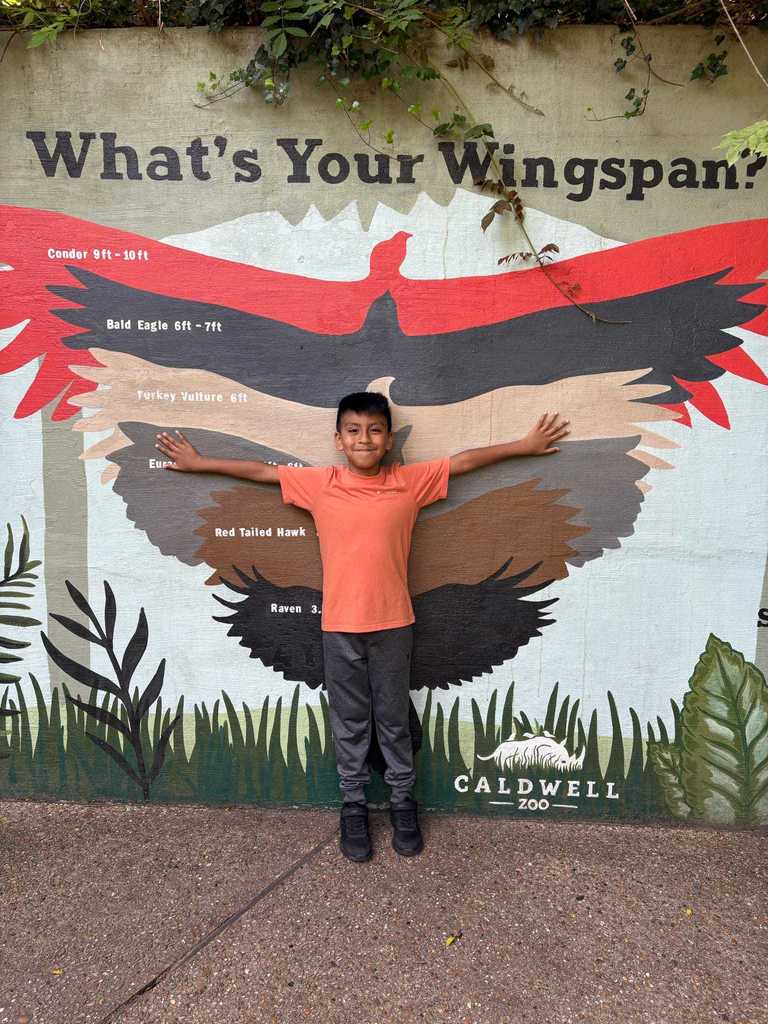 field trip fun