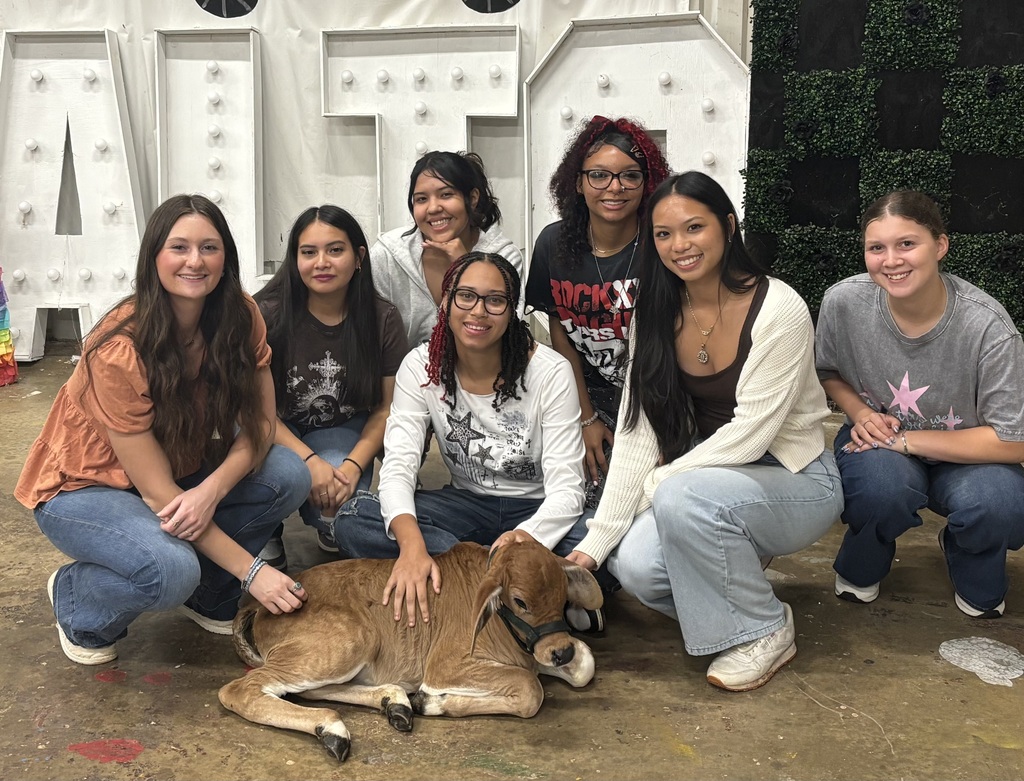 Vet met students with a bottle calf