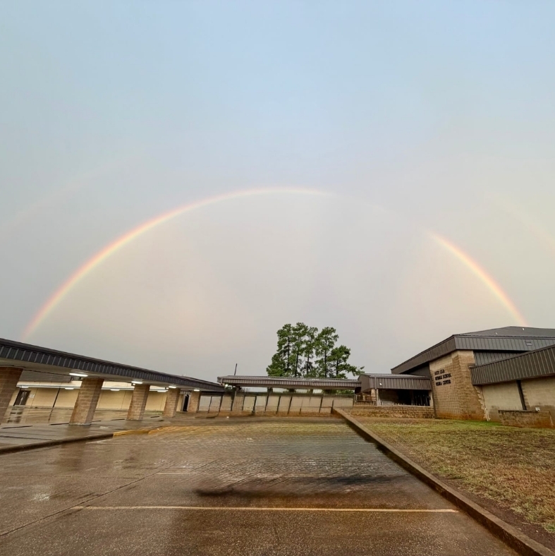 rainbow 