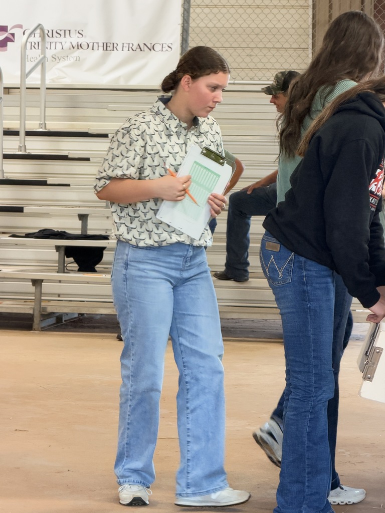 hay judging