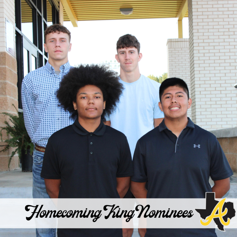 AHS Homecoming Court