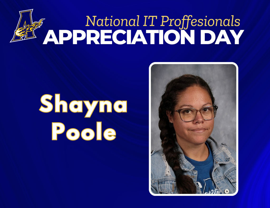IT Professionals Day