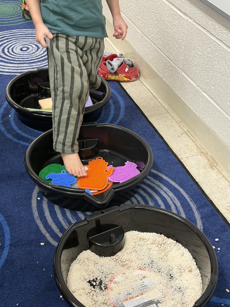 Sensory walk