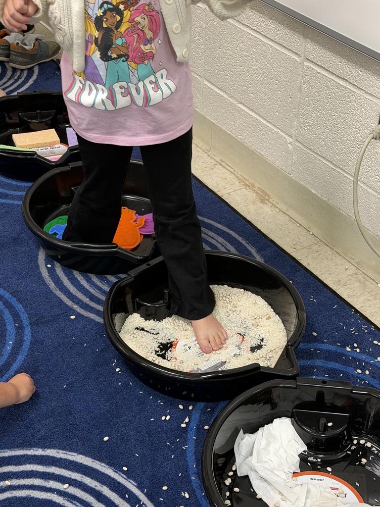 Sensory walk