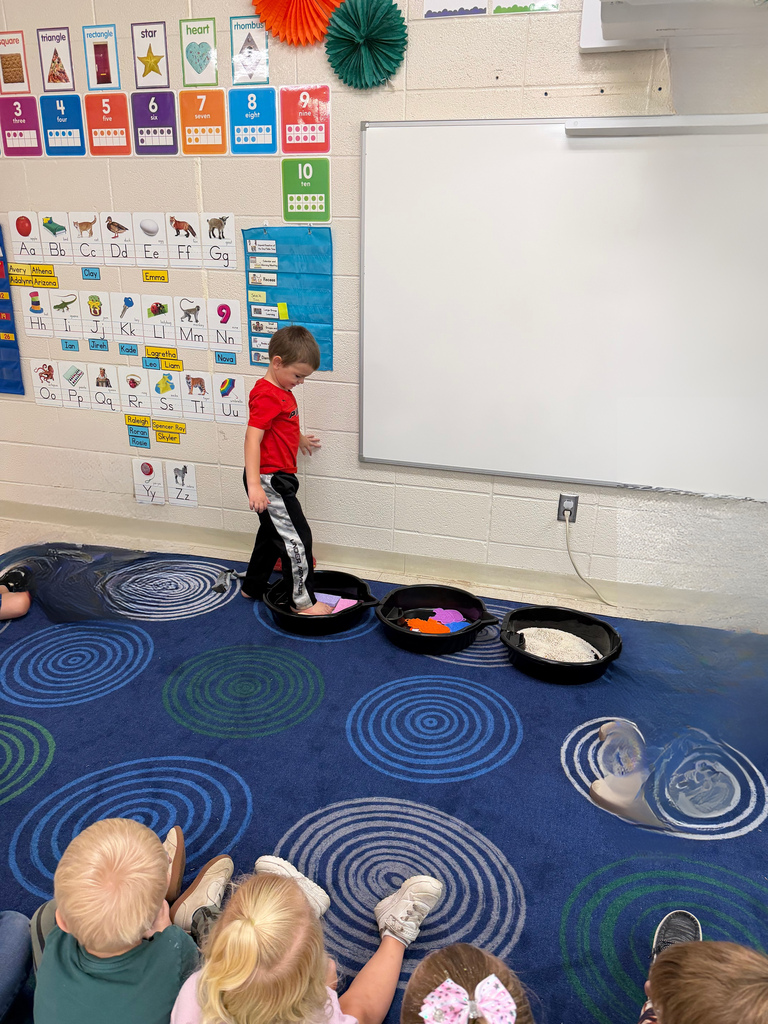 Sensory walk