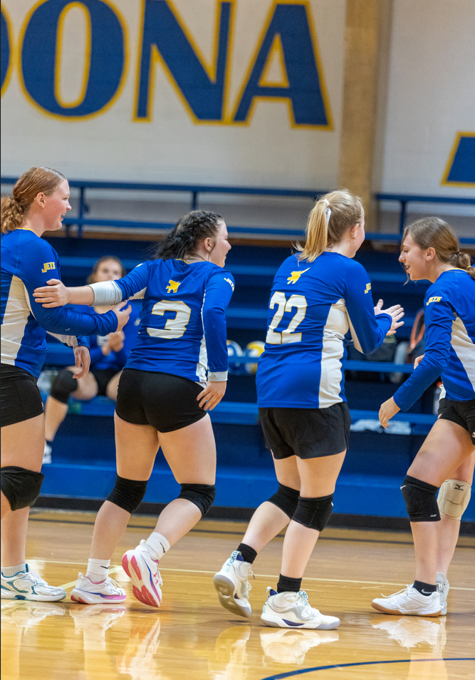 AMHS Volleyball