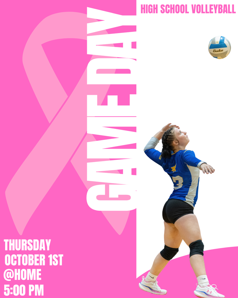 HS VB