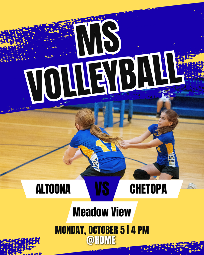 MS VB