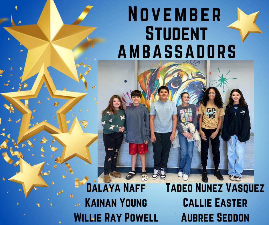 nov ambassadors