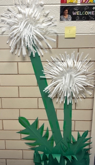 Dandilions