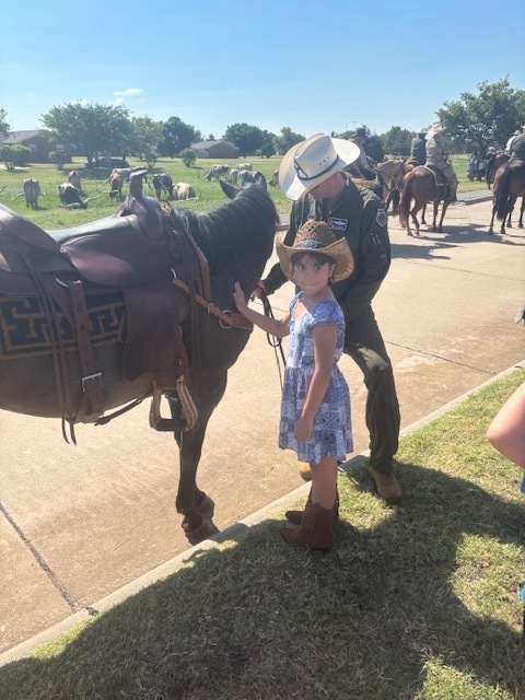 cattle drive
