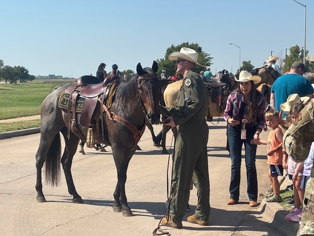 cattle drive