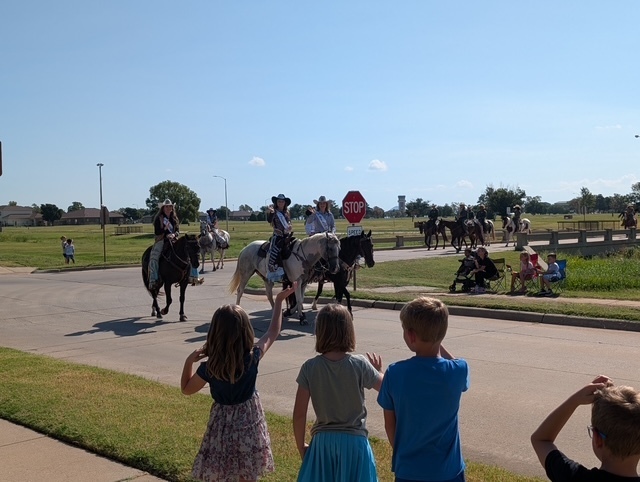 cattle drive