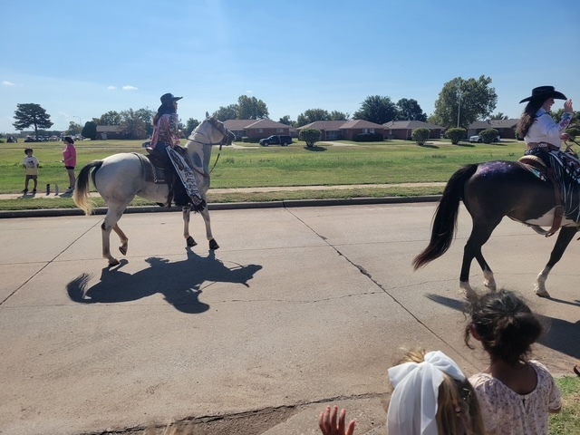 cattle drive