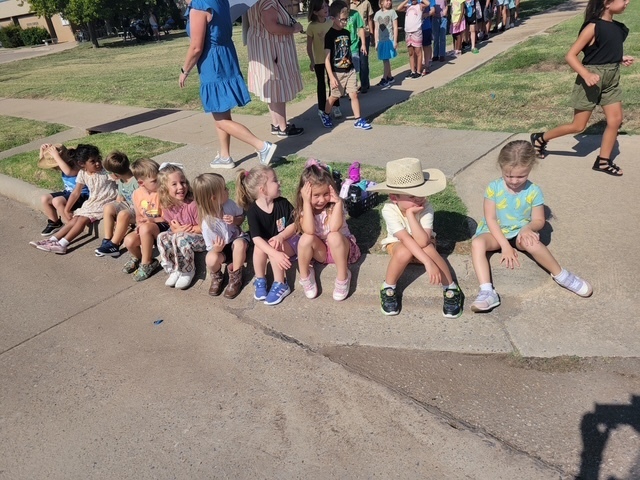 cattle drive