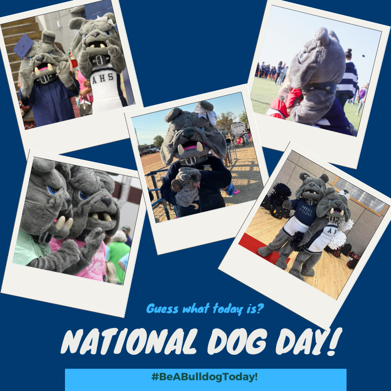 Live Feed Altus Public Schools